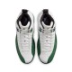 AIR JORDAN 12 RETRO BUCKS 2026 CT8013-103