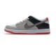 Nike SB Dunk Low Pro ISO Infared CD2563-004