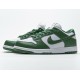 Nike Dunk Low SP White Green DD1391-300