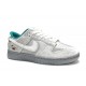 Nike Dunk Low Ice DO2326-001