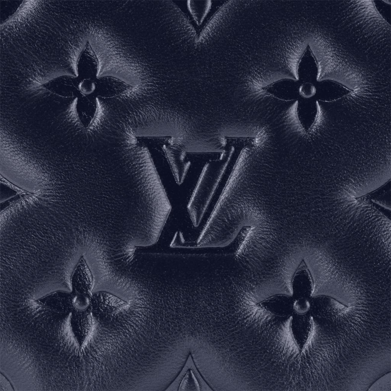 Lv Coussin Pm Handbag M20379 6 - www.kickbulk.cc