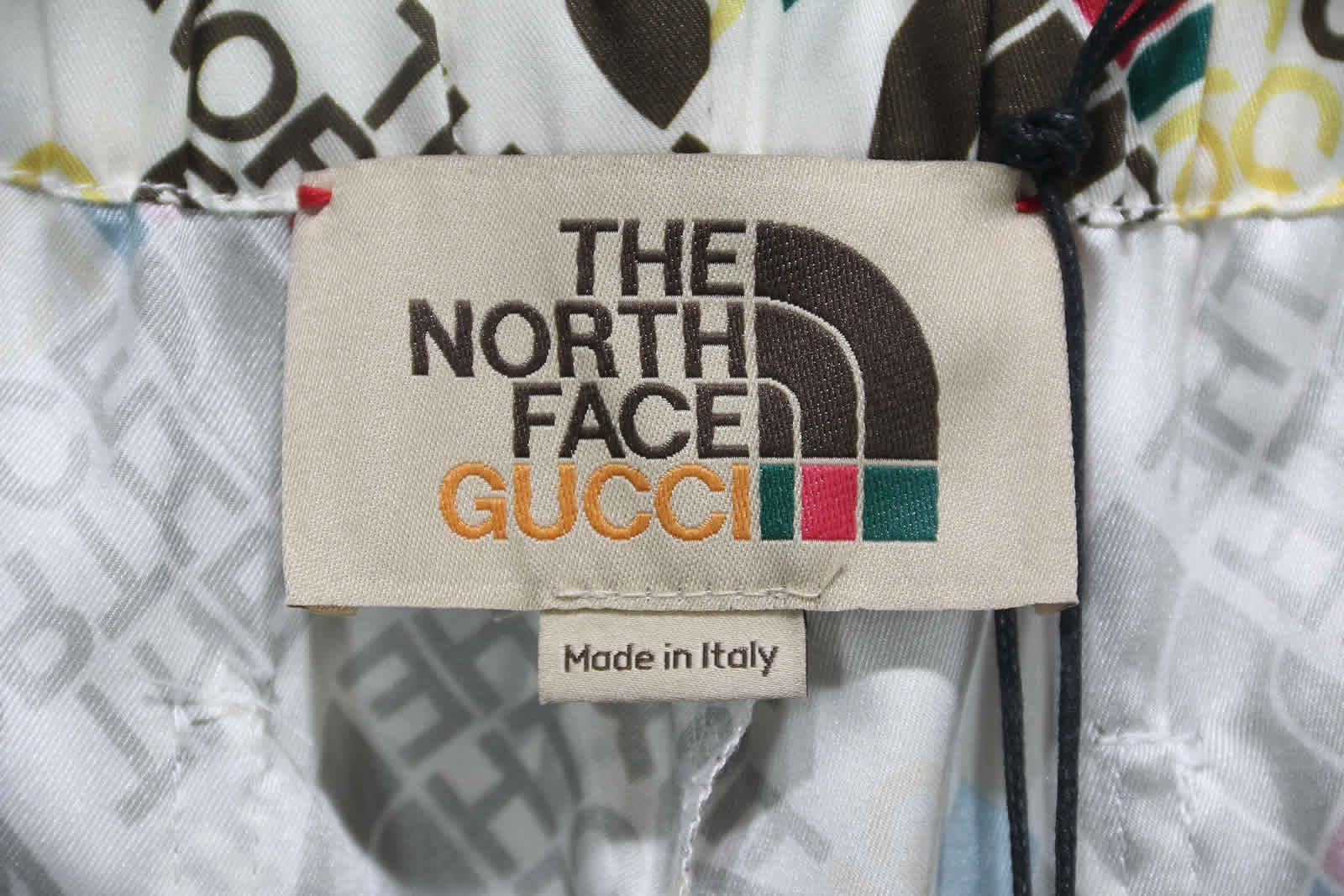 Gucci The North Face Silk Shorts 13 - kickbulk.cc