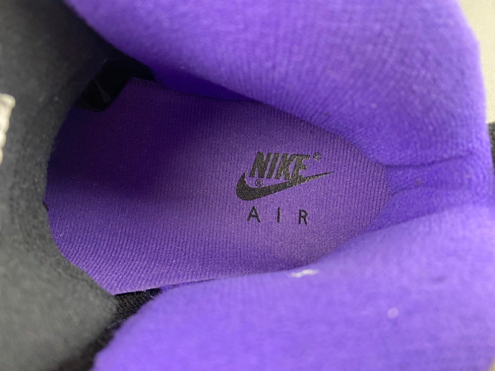 Air Jordan 10 Og Sacramento 130209 051 20 - kickbulk.cc