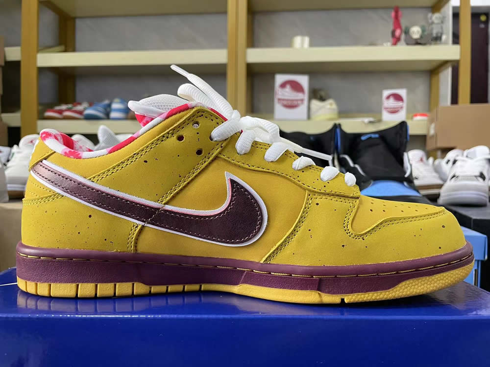 Nike Dunk Low Premium Sb Yellow Lobster 313170 137566 10 - kickbulk.cc