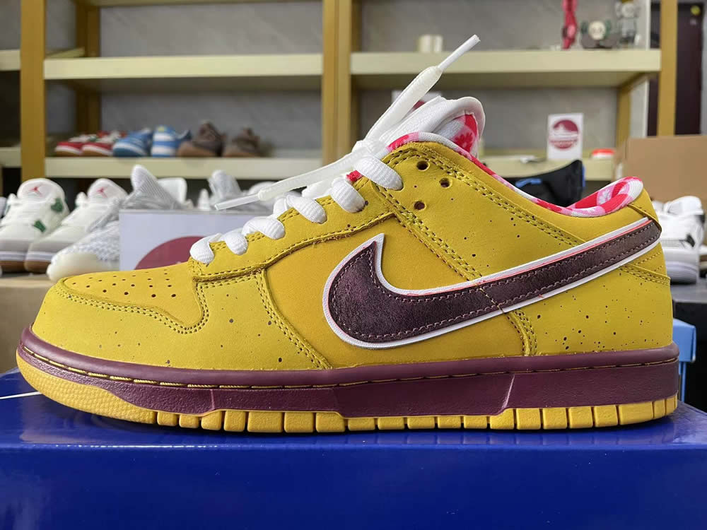 Nike Dunk Low Premium Sb Yellow Lobster 313170 137566 9 - kickbulk.cc