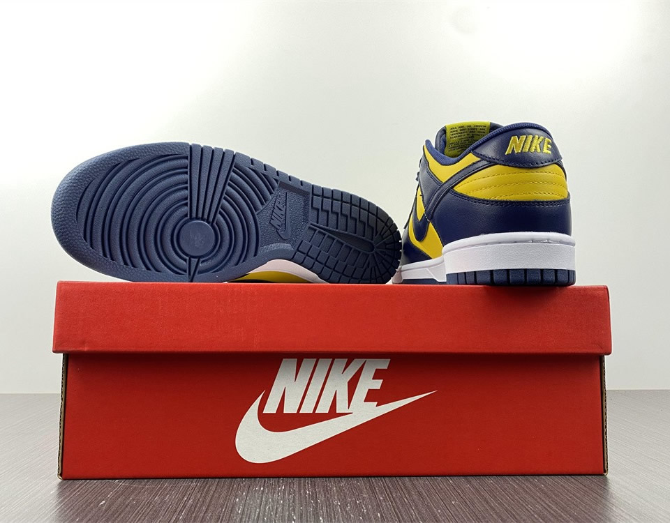 Nike Dunk Low Michigan 2021 Dd1391 700 13 - kickbulk.cc