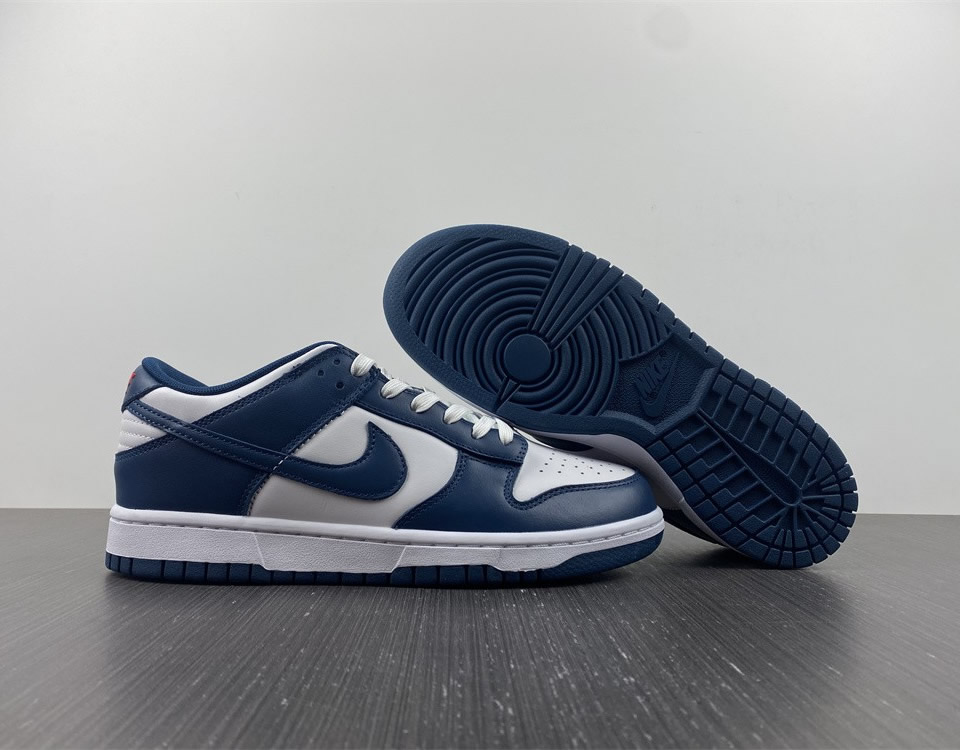 Nike Dunk Low Valerian Blue Dd1391 400 8 - kickbulk.cc