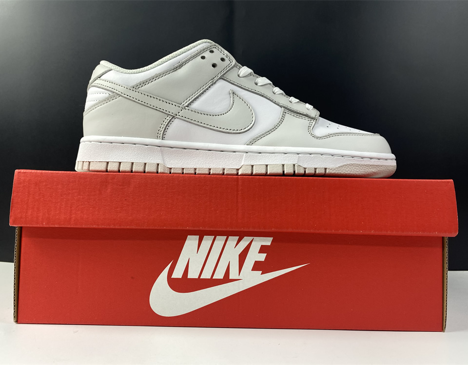 Nike Dunk Low Wmns Photon Dust Dd1503 103 21 - kickbulk.cc