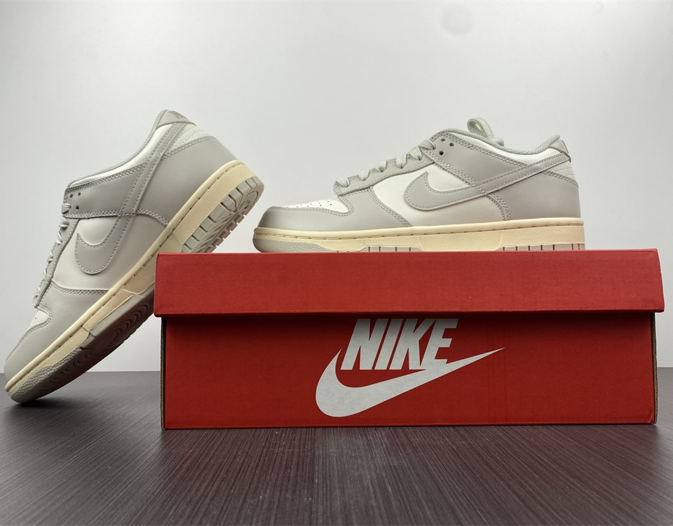 Nike Dunk Low Light Bone Wmns Dd1503 107 21 - kickbulk.cc