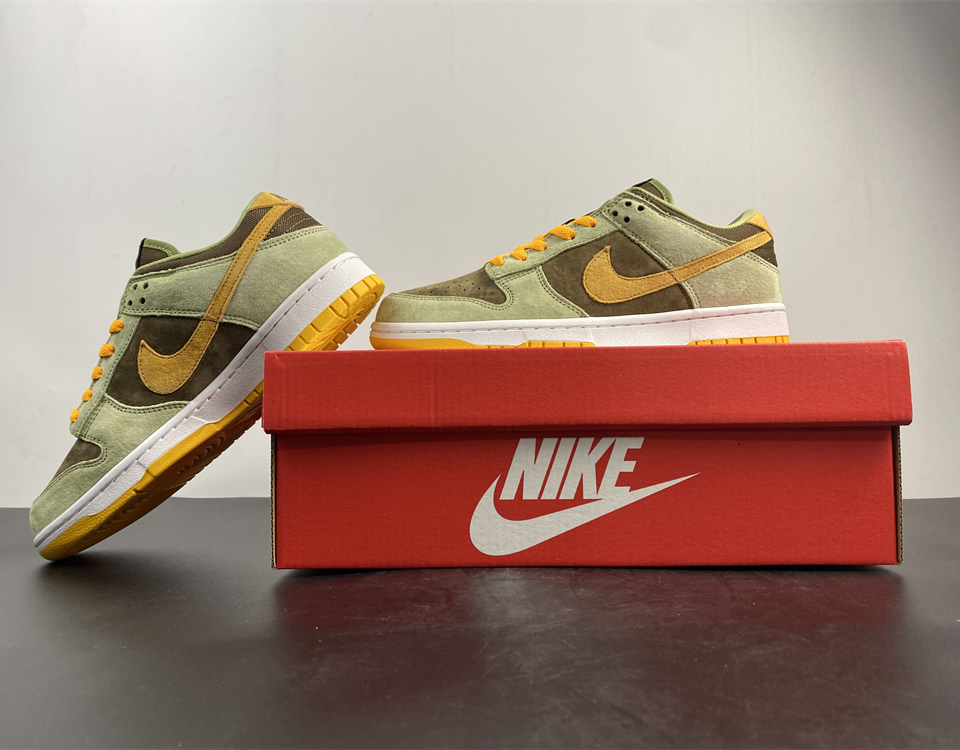 Nike Dunk Sb Low Dusty Olive Dh5360 300 19 - kickbulk.cc