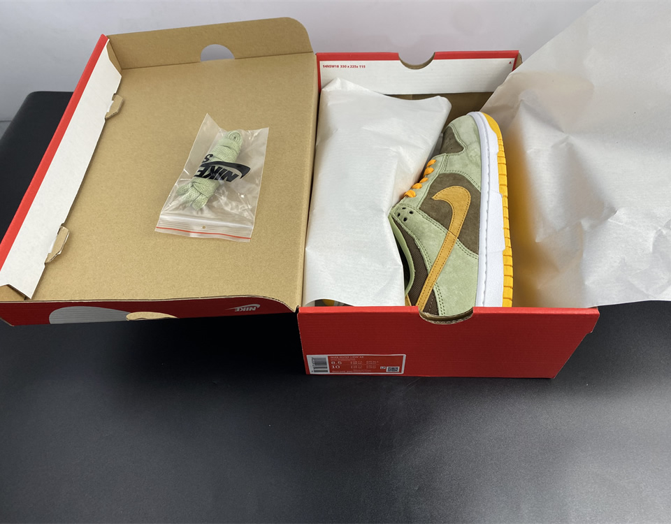 Nike Dunk Sb Low Dusty Olive Dh5360 300 22 - kickbulk.cc