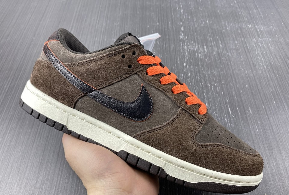 Nike Dunk Low Retro Premium Baroque Brown Dq8801 200 10 - kickbulk.cc