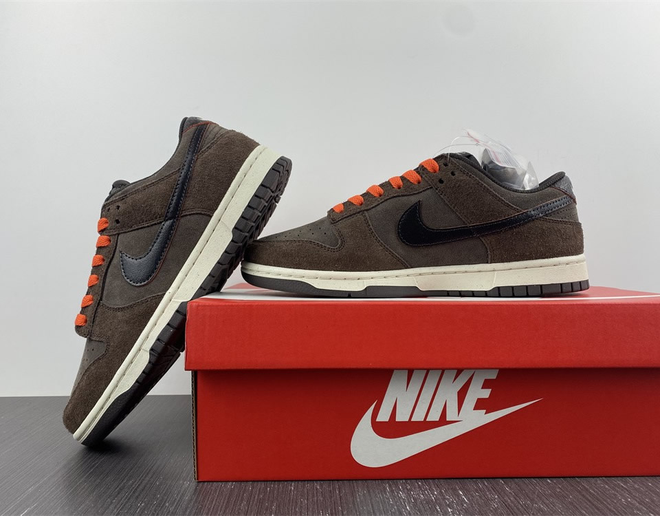 Nike Dunk Low Retro Premium Baroque Brown Dq8801 200 11 - kickbulk.cc