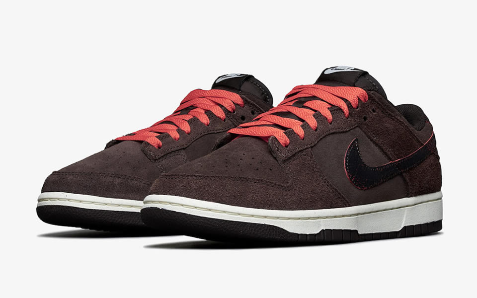 Nike Dunk Low Retro Premium Baroque Brown Dq8801 200 3 - kickbulk.cc