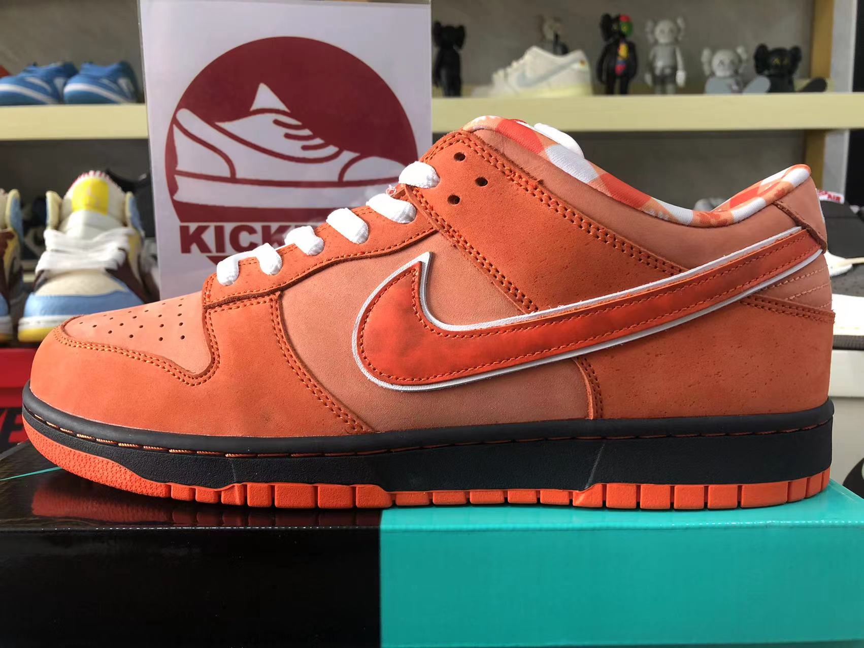 Nike Dunk Sb Low Orange Lobster Fd8776 800 7 - kickbulk.cc