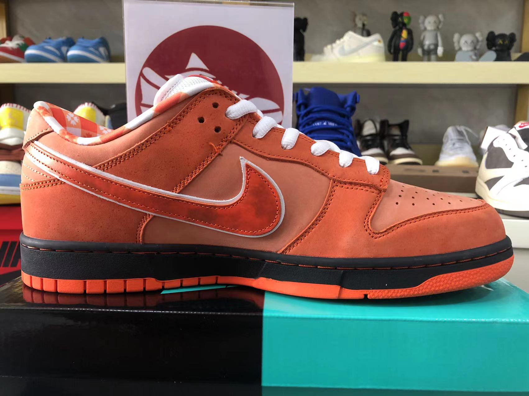 Nike Dunk Sb Low Orange Lobster Fd8776 800 8 - kickbulk.cc