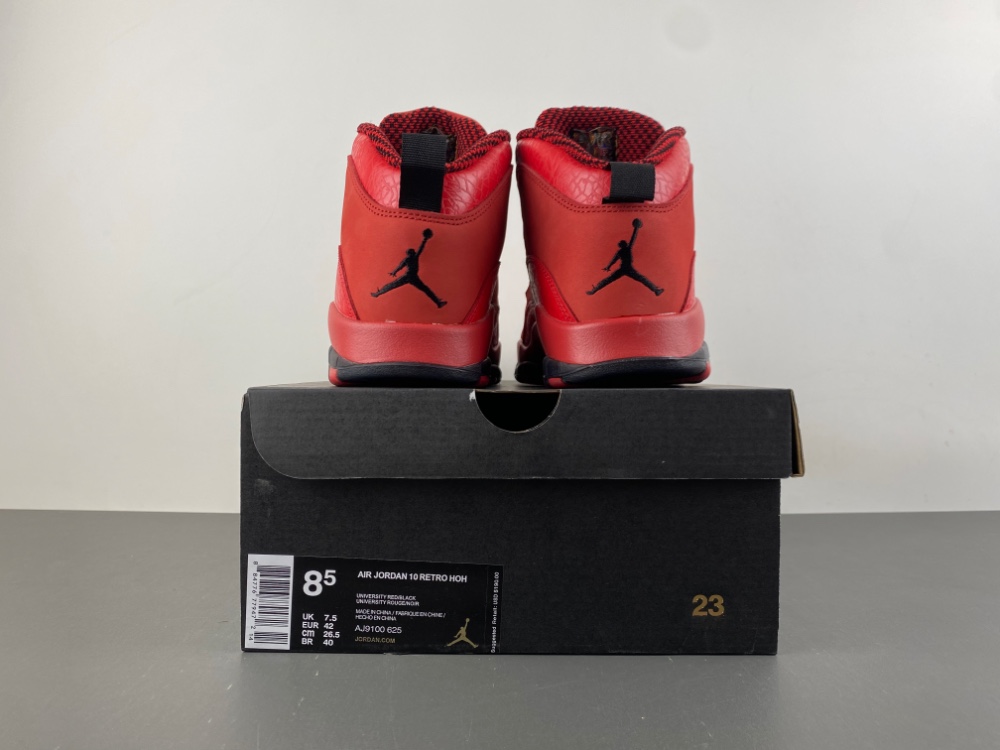 Steve Wiebe Jordan 10 Retro Hoh Aj9100 625 14 - kickbulk.cc