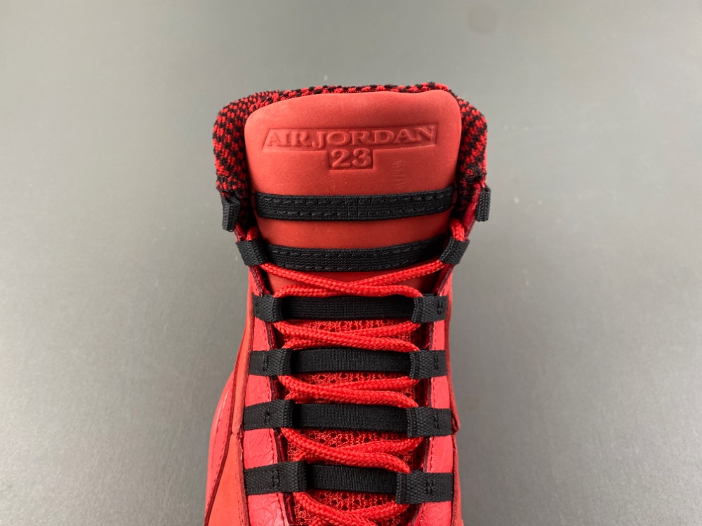 Steve Wiebe Jordan 10 Retro Hoh Aj9100 625 17 - kickbulk.cc