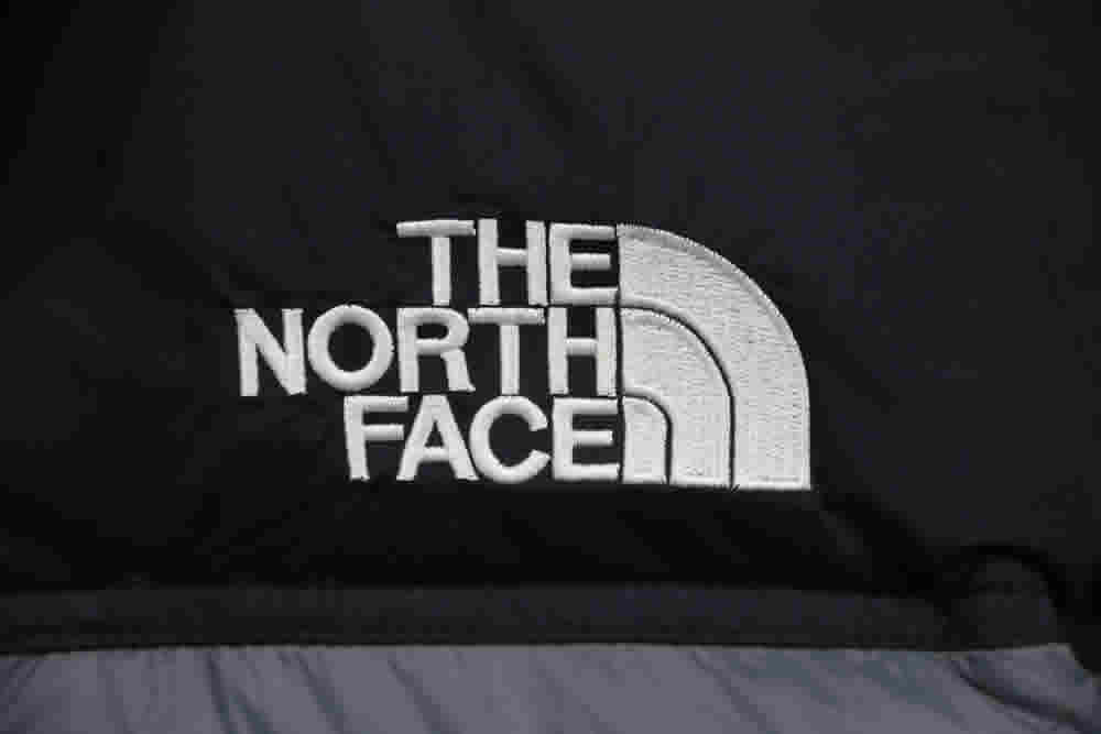 Invincible The North Face Down Jacket 15 - kickbulk.cc