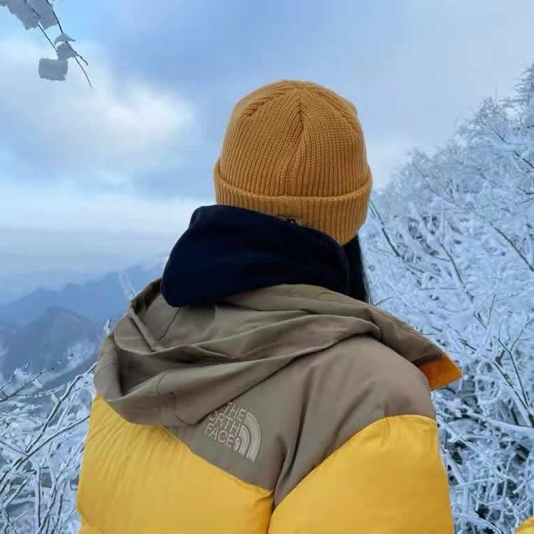 The North Face Down Jacket Yellow 22ss 1996nuptse 4nch 5 - kickbulk.cc