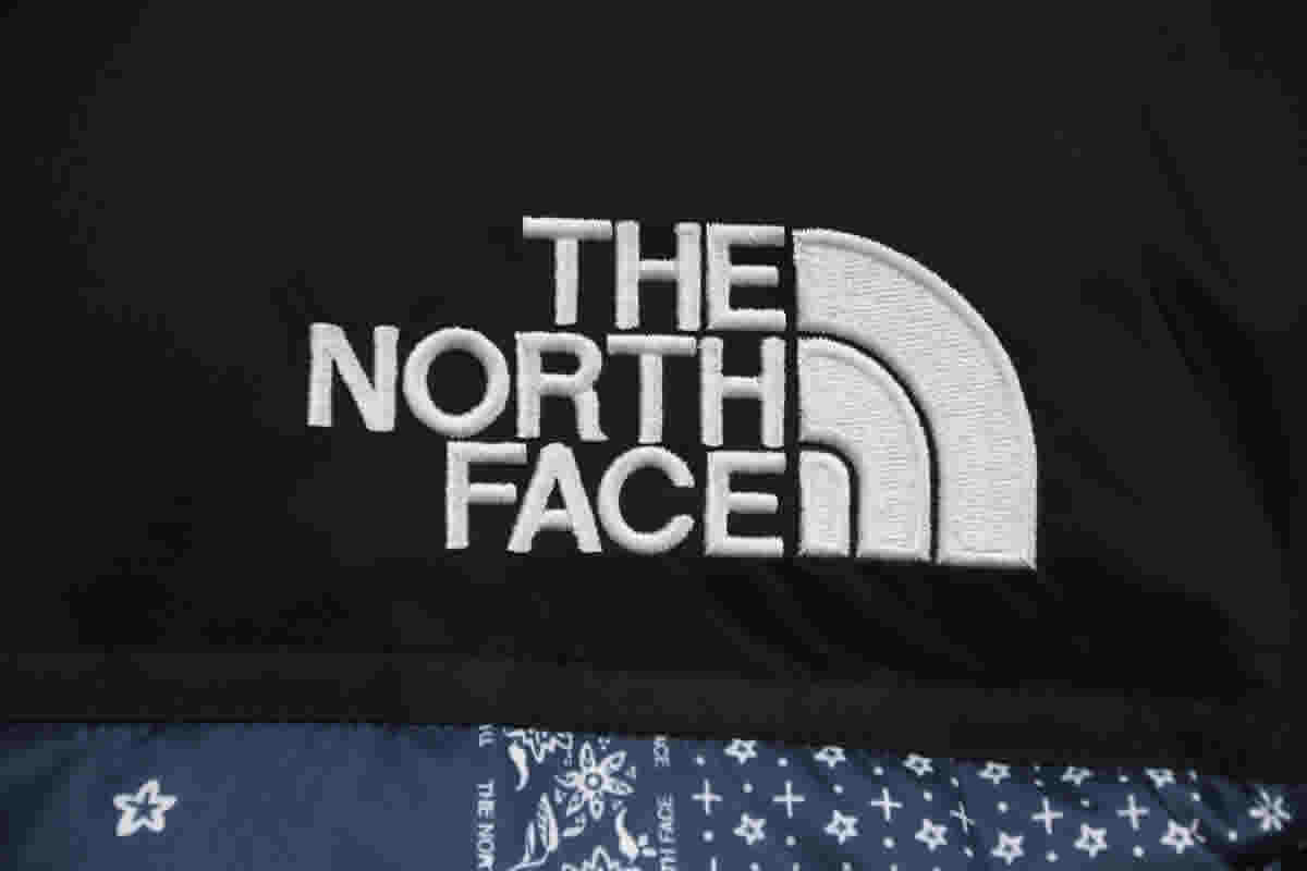 The North Face Cashew Flowers Down Jacket 11 - kickbulk.cc