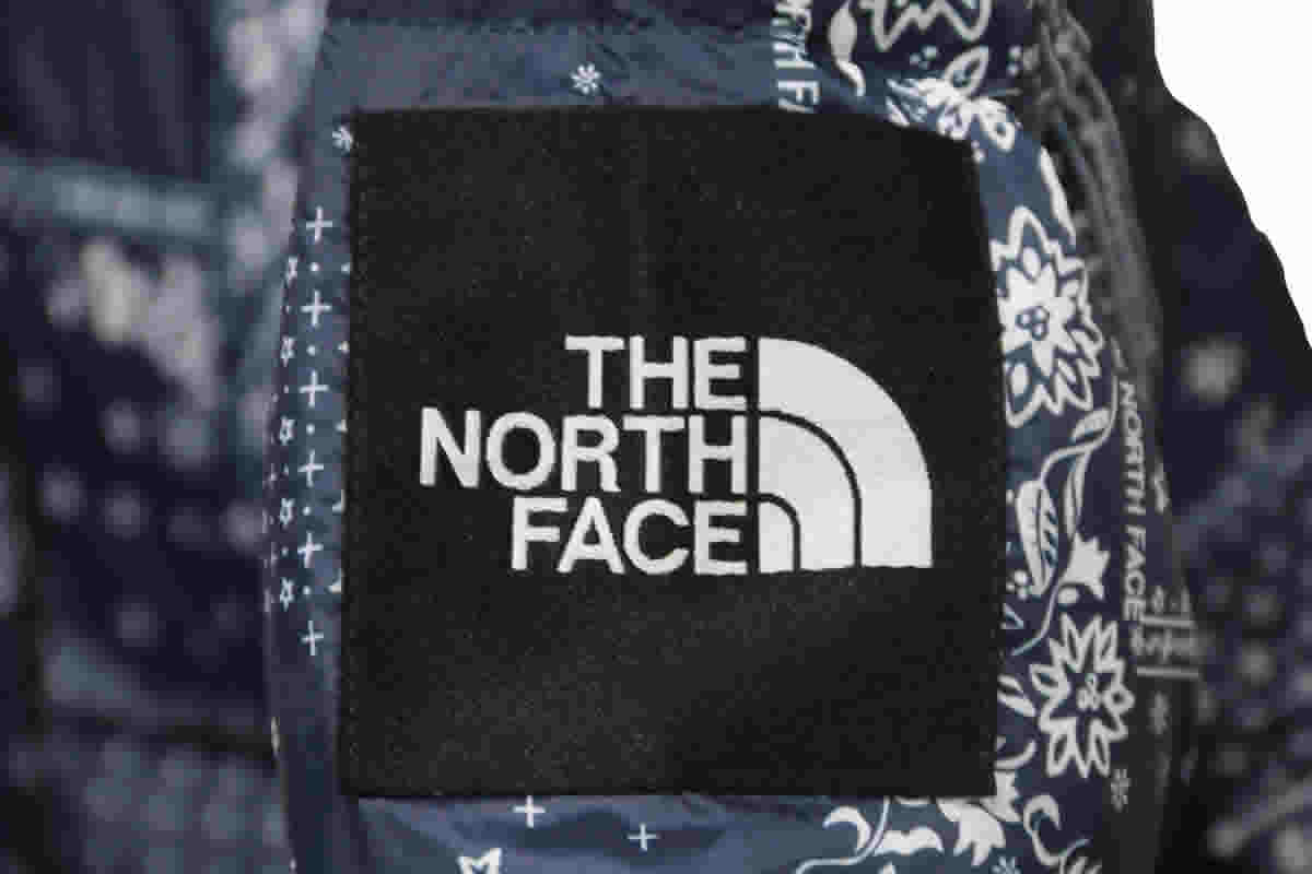 The North Face Cashew Flowers Down Jacket 12 - kickbulk.cc